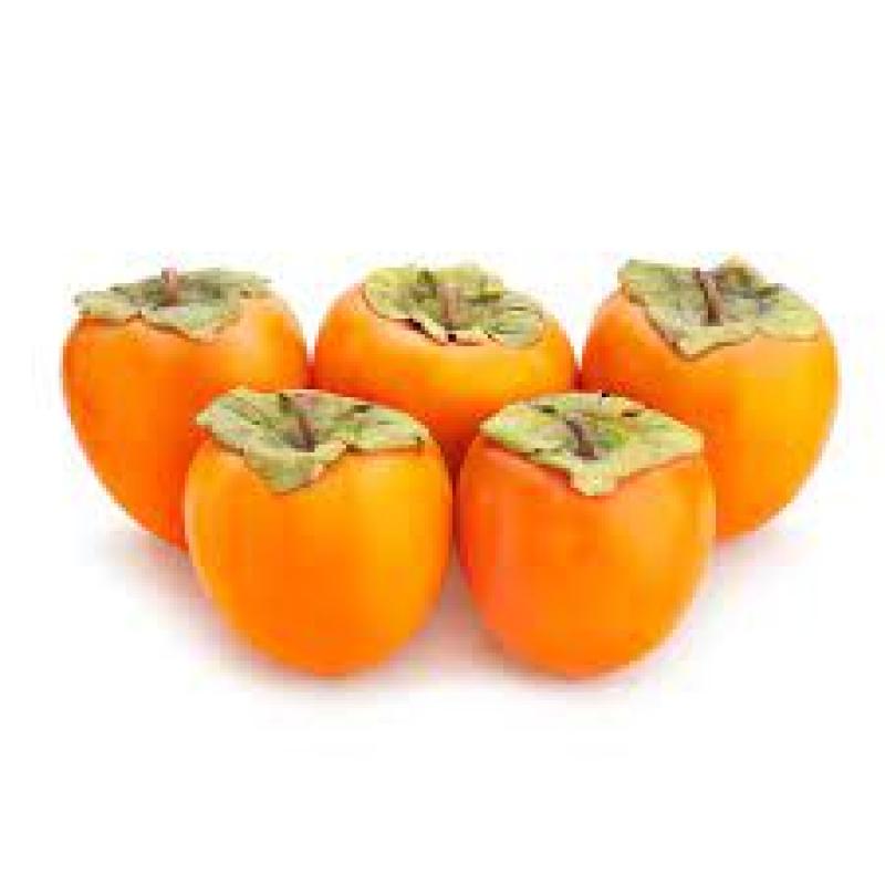 Persimmon