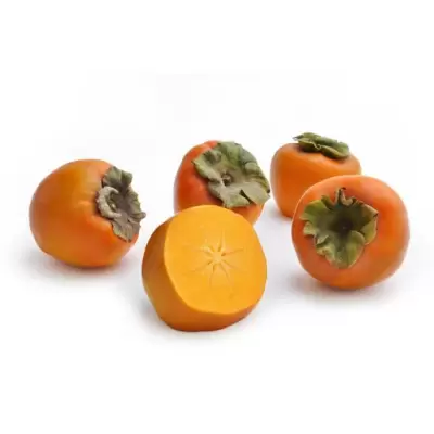 Persimmon