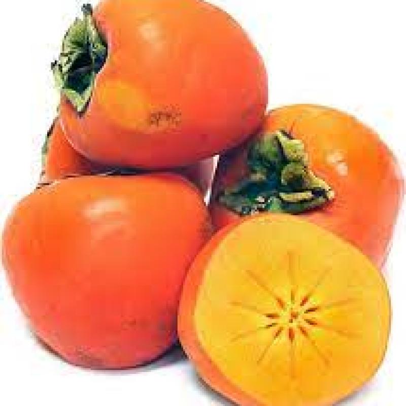 Persimmon